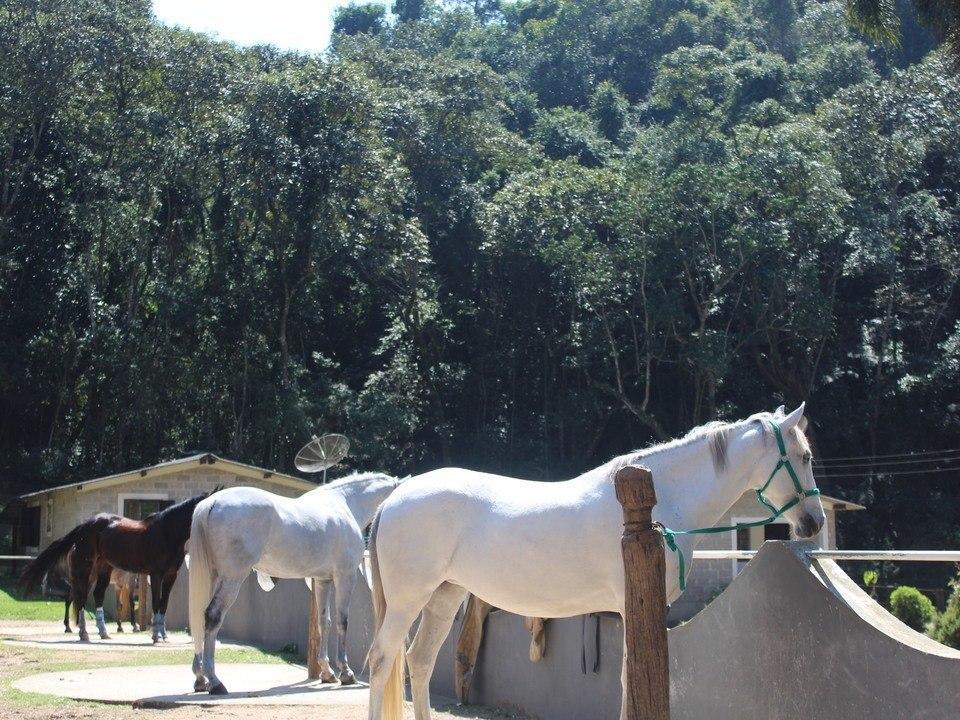 Fazenda Apm Hotel Caieiras
